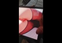 porkers anal